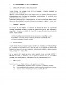 DESCRIPCIÓN DE LA ORGANIZACIÓN.