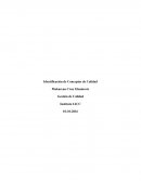 Tema de Identificación de Conceptos de Calidad.