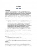 La respiración es un proceso metabólico en el cual hay una degradación de compuestos orgánicos para obtener energía.