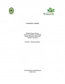 Innovación y calidad