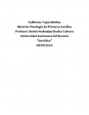 Ensayo de los 5 sentidos