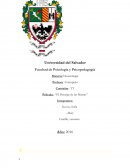 Pelicula: “El Principe de las Mareas”