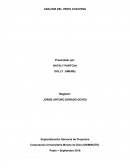 ANALISIS DEL VIDEO COACHING