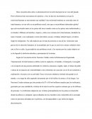 Problemas Sociales: La Trata de Personas