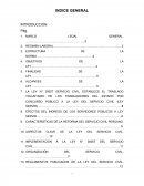 LEY SERVIR TRABAJO MONOGRAFICO