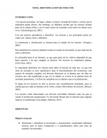 IDENTIFICACION DE INSECTOS.. Página 1