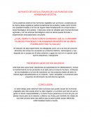 PUNTO DE VISTA A TRAVES DE LAS PLANTAS CON HORMONAS VEGETAL