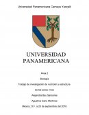 Biología Trabajo de investigación de nutrición y estructura