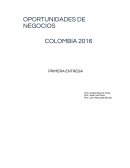 OPORTUNIDADES DE NEGOCIOS ANÁLISIS DE LA INDUSTRIA LOCAL