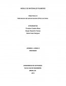 MODULO DE MATERIALES POLIMEROS PRACTICA # 2 Reticulacion del polivinil alcohol (PVA) con bórax.