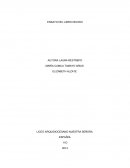 ENSAYO DEL LIBRO DELIRIO