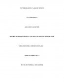 REPORTE DE EXAMEN FISICO Y COGNOSCITIVO DE UN ADLTO MAYOR ¿Que hago si mi media naranja es toronja?