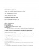 Ideas de proyecto de inversion