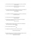 Grupo de productos que están estrechamente relacionados, en esencia a usos similares