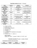 Glucólisis aerobia (Glucosa → Piruvato)