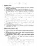 Apuntes del libro “Twingo, al auto que no existía”