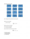 Anexos práctica Control de presión