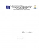 Electiva III. Nación, Cultura e Identidad