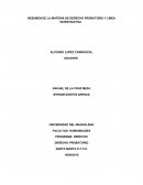 RESUMEN DE LA MATERIA DE DERECHO PROBATORIO Y LÍNEA INVESTIGATIVA