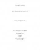 Este escrito tiene la finalidad de exponer lo que es una investigación cuantitativa, sus fundamentos y sus características más significativas, hace una pequeña definición sobre el paradigma positivista, muestra el método de una investigación cuanti