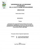 Evaluación del comportamiento del bejuco de la mujer (Philodendron rigidifolium), a través de cuatro tamaños de estolones en la comunidad Montes Verdes, Reserva Natural Punta Gorda, RAAS, 2004-2006.