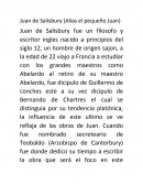 Juan de Salisbury (Alias el pequeño Juan)