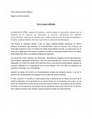 Negocios Internacionales Tercer ensayo calificable