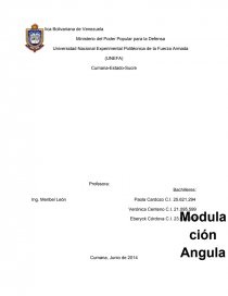 Modulación Angular - Ensayo. Página 1
