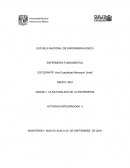 UNIDAD 1 LA NATURALEZA DE LA ENFERMERIA ACTIVIDAD INTEGRADORA 2