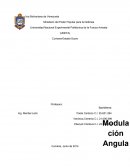 Modulación Angular - Ensayo