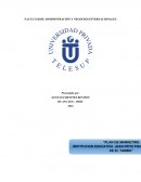 FACULTAD DE ADMINISTRACIÓN Y NEGOCIOS INTERNACIONALES.