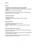 Inflación - Preguntas