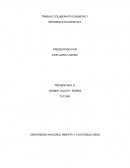 TRABAJO COLABORATIVO NUMERO 1 INFERENCIA ESTADISTICA