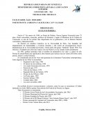 Origen de la Familia, propiedad y estado.