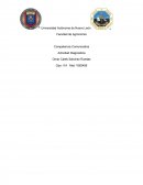 Competencia Comunicativa Actividad Diagnostica