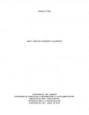 PROGRAMA DE CIENCIA DE LA INFORMACIÓN Y LA DOCUMENTACIÓN, BIBLIOTECOLOGÍA Y ARCHIVÍSTICA