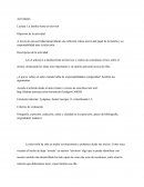 La familia frente el televisor.