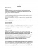 Nombre del Negocio: “TecnoService”