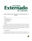 Cultura organizacional: facilitador u obstaculizador para el cambio.
