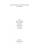 LA METODOLOGIA DE REDUCCIÓN DE DESPILFARROS SE BASA EN: MEJORES EQUIPOS Y MEJORES RESULTADOS
