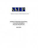 INFORME DE MONITOREO OCUPACIONAL,EVALUACIÓN ERGONÓMICA