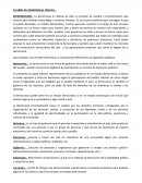 34 años de democracia en Bolivia