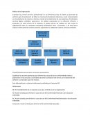 Política de la Organización