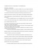 CAMBIOS ETICOS EN LA EDAD MEDIA Y CONTEMPORANEA