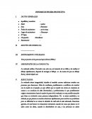 Informe de pruebas proyectivas persona bajo la lluvia.