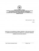 PROYECTO OTRO LADO DEL RIO HUERTO COMUNAL.