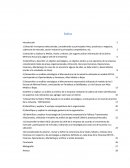 Diagnostico Concha y Toro