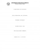 ENSAYO NO.II 11/10/2016 REFORMAS FRUSTRADAS