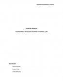 PLAN DE TRABAJO Plan estratégico de Recursos Humanos en Gestacur Chile