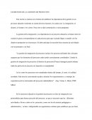 Elementos de la gestion de proyectos